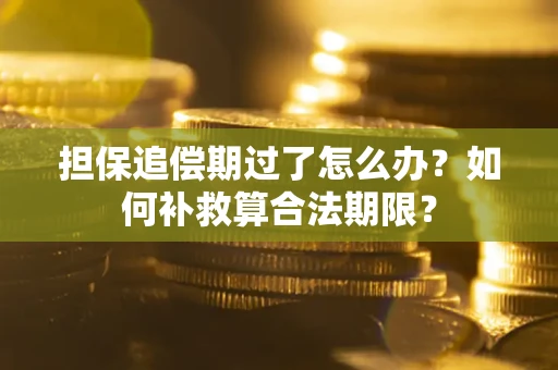 北京担保追偿期过了怎么办？如何补救算合法期限？