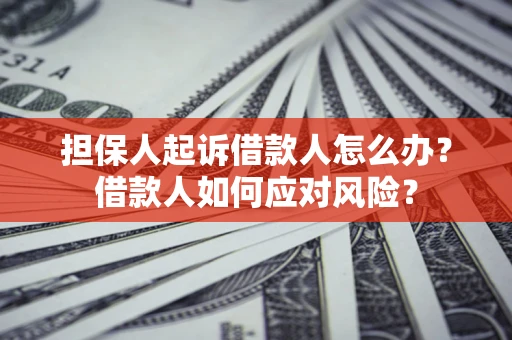 北京担保人起诉借款人怎么办？借款人如何应对风险？