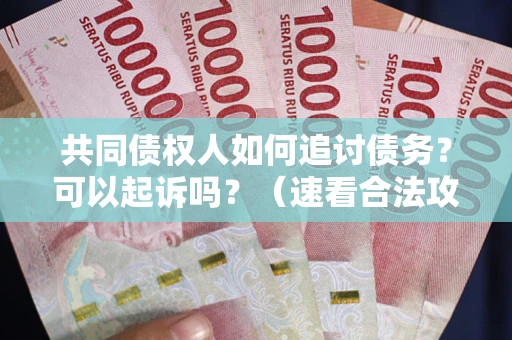 北京共同债权人如何追讨债务？可以起诉吗？（速看合法攻略）