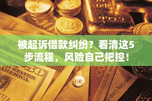 北京被起诉借款纠纷？看清这5步流程，风险自己把控！